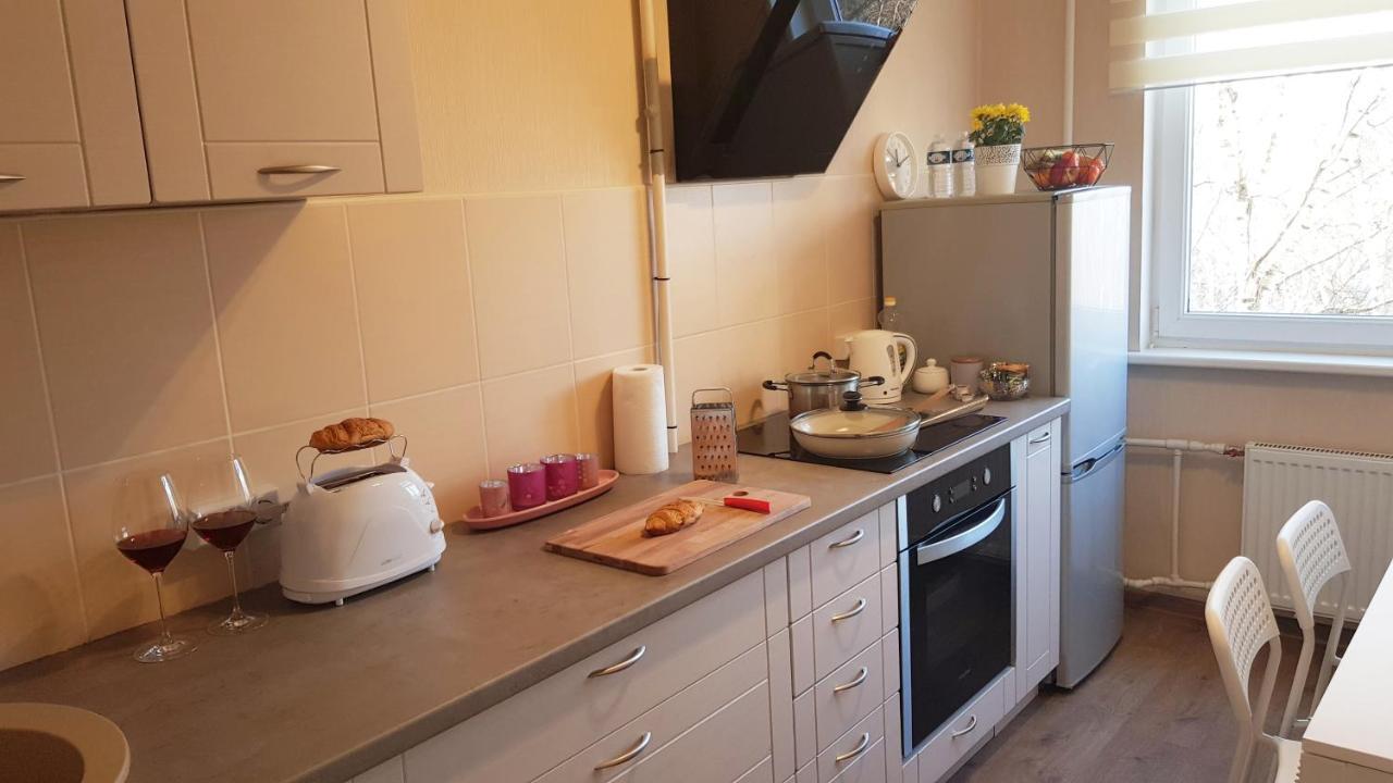 Birch View Apartment Jelgava Dış mekan fotoğraf