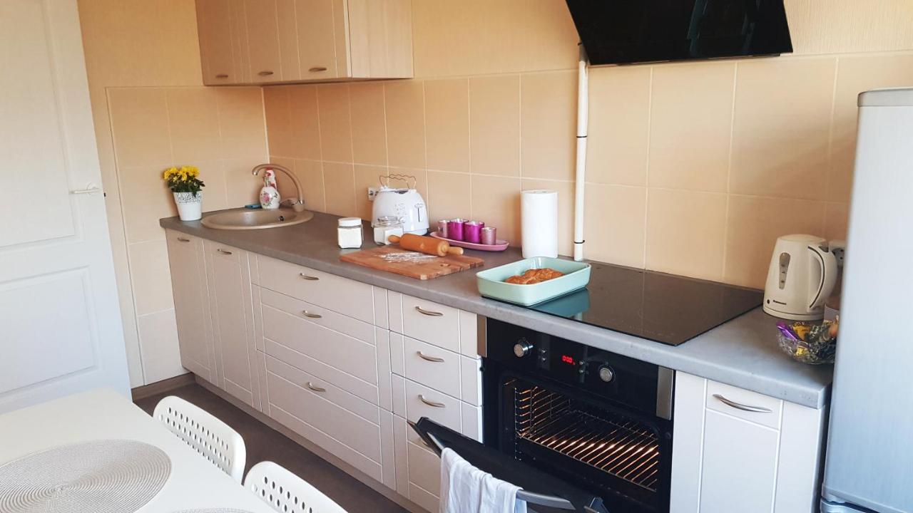 Birch View Apartment Jelgava Dış mekan fotoğraf